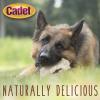 imageCadet Premium Grade Beef Hide for Dogs Long Lasting Rawhide Donut Bone Single Ingredient Dog Chews 8 Inch 1 Count
