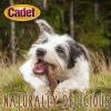 imageCadet Gourmet Beef Rib Bones for Dogs  Healthy ampamp Natural Dog Chew Bones  Inspected ampamp Tested in USA 3 Count