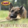 imageCadet Beef Hide Knotted Dog Chews Natural Rawhide Bone LongLasting BeefFlavored Treat for Dogs 24Inch Braided BoneKnotted Bone