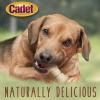 imageCadet Premium Grade Beef Hide Dog Chews 4quot5quot LongLasting Knotted Rawhide Bones SingleIngredient Natural Flavor 1 Pound