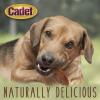 imageCadet Gourmet Duck Breast Jerky Dog Treats Healthy LongLasting HighProtein Training Treats for Small ampamp Large Dogs 40 ozDuck Breast