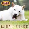 imageCadet Stuffed Shin Bone  Highly Digestible High Protein LongLasting Dog Chew Bone for Aggressive Chewers Supports Dental Health  Bully Stick Flavor Large 1 CountBacon  Cheese