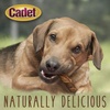 image:imageCadet Gourmet Triple Chews LongLasting Pork Hide Sticks with Sweet Potato and Chicken Healthy Dog Treats for Small amp Large Dogs 18 Count