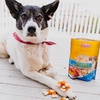 image:imageCadet Gourmet Chicken Wrapped Biscuit Dog Treats Training Treats for Small and Large Dogs Inspected amp Tested in USA 42 Ounce