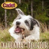 image:imageCadet Gourmet Beef Hide amp Chicken Twists Dog Chew Sticks 100 Count 5  100 real beef hide with chicken treats for small amp large dogs gourmet beef rawhide chew sticks natural chews for dogsChicken