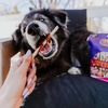 image:imageCadet Gourmet Beef Hide amp Chicken Twists Dog Chew Sticks 100 Count 5  100 real beef hide with chicken treats for small amp large dogs gourmet beef rawhide chew sticks natural chews for dogsDuck